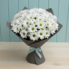 Букет цветов из:  Хризантемы в Мишелёвке