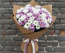 Букет цветов из:  Хризантемы #REPLACE_PRED# Мишелёвке