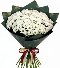 Букет цветов из:  Хризантемы #REPLACE_PRED# Мишелёвке