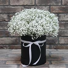 Цветочная композиция из Гипсофила в шляпной коробке #REPLACE_PRED# Мишелёвке